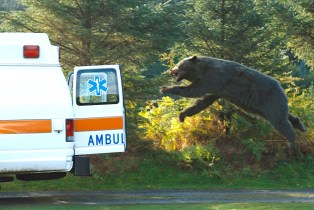 Cocaine Bear ambulance scene