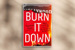 burn it down book cover on textured beige background