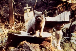 ‘Pet Sematary’