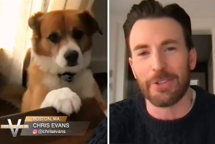 Chris Evans and his dog on The View