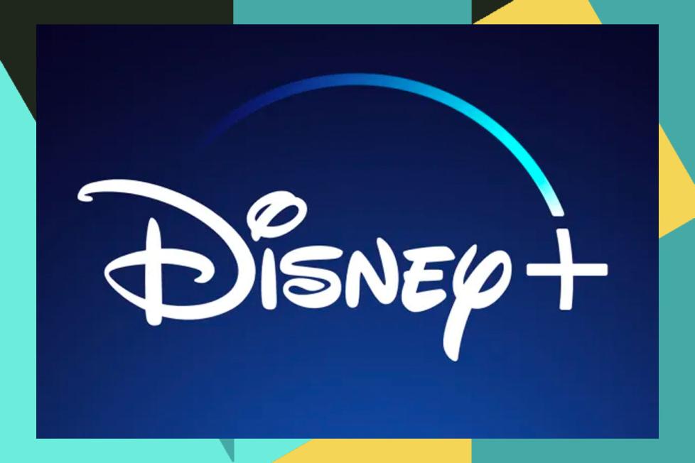 Disney+ logo with border