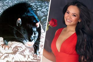 Were Rats Scurrying Across The Screen In ‘The Bachelorette’ Season 21 Premiere? A Decider Investigation