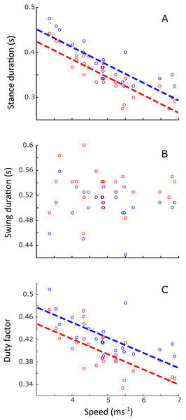 Changes in stance duration (s), swing duration (s) and duty factor as a function of speed (ms−1).