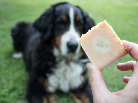 DIY Doggie Ice Cream