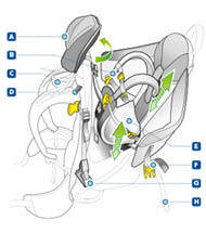 Family KidComfort Funktional Features