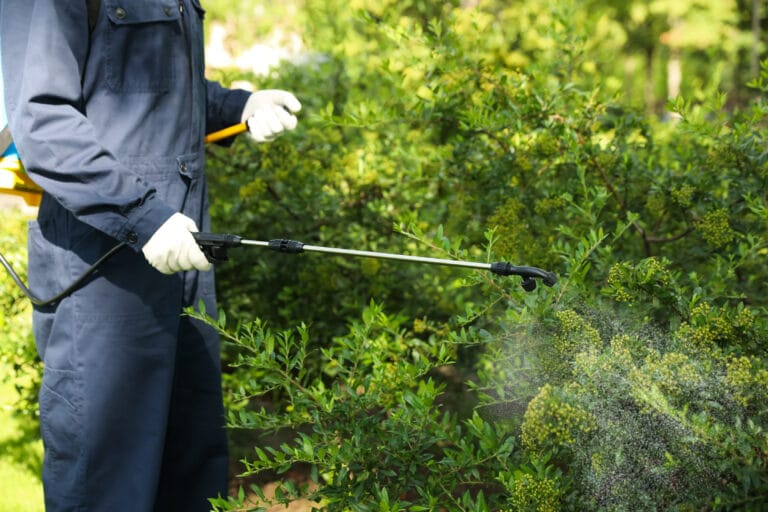 How much does pest control cost