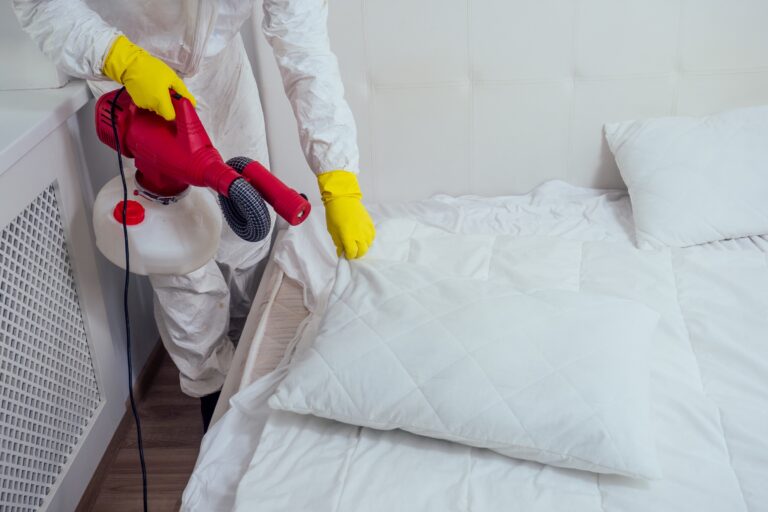 Bed Bug exterminator cost