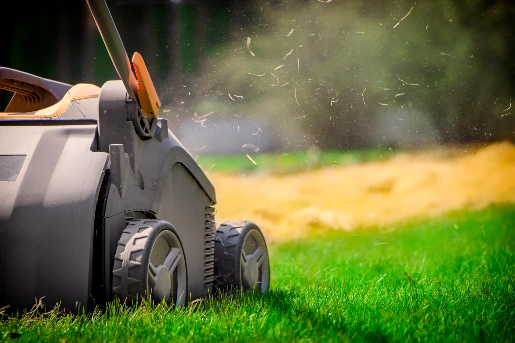 Lawn Aeration