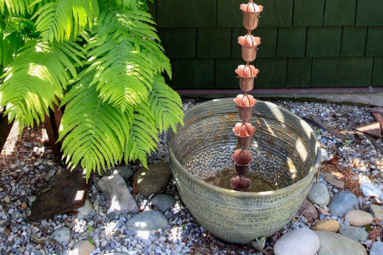 Rain chains going into a bucket