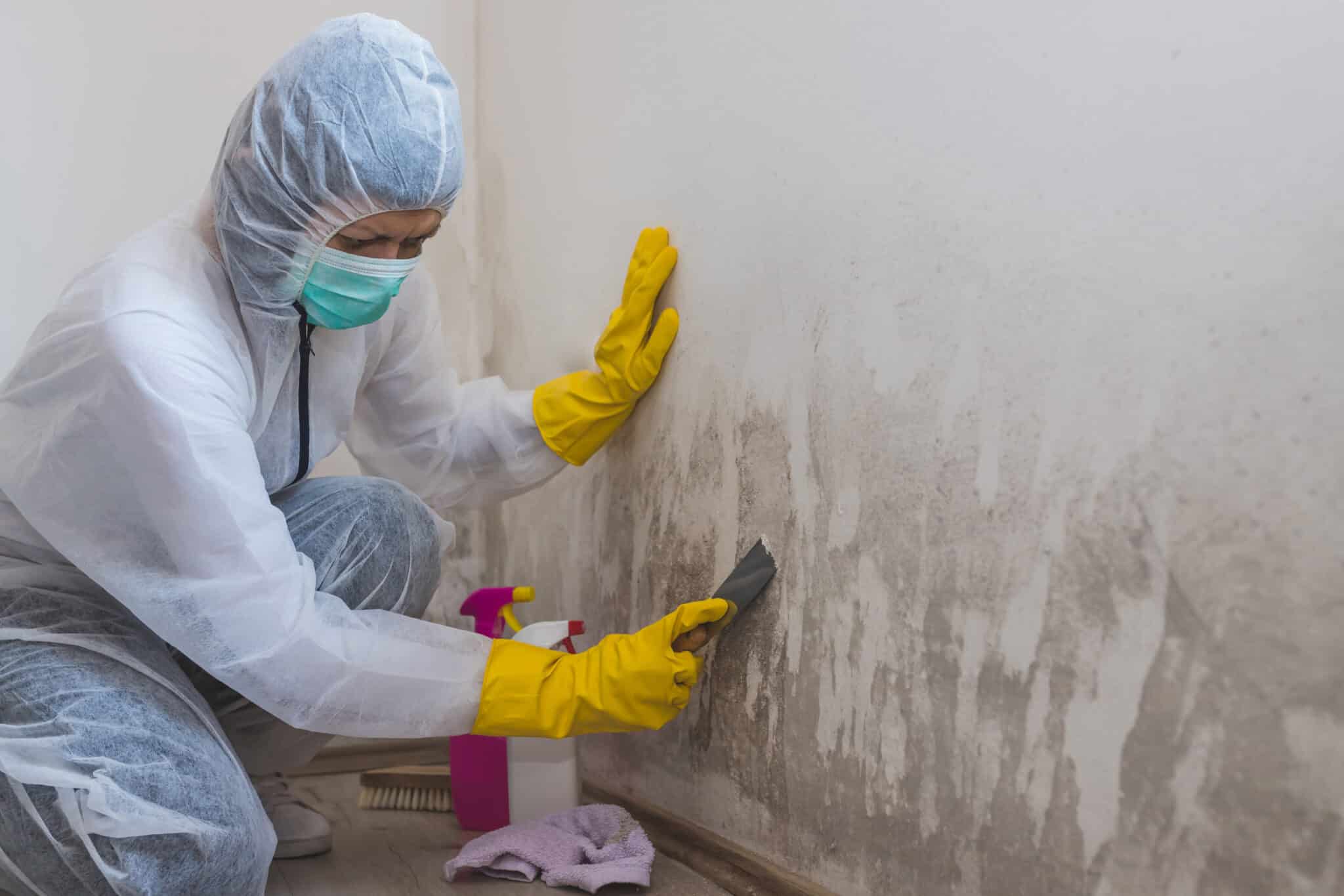 cleaning mold