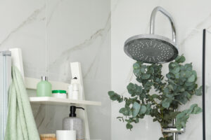 Branches with green eucalyptus leaves in shower