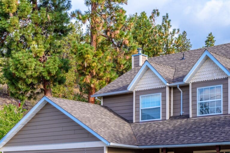 An older house with an updated roof near the woods