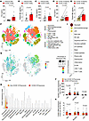 C5a levels and C5AR1 expression in the BAL fluid and cells from patients wi