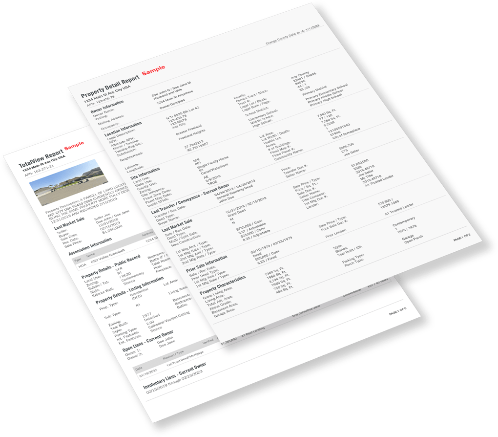 TotalView and Property Detail Report Sample Screenshot