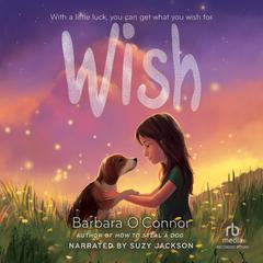 Wish by Barbara O'Connor audiobook