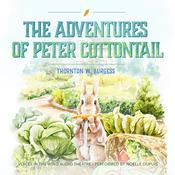 The Adventures of Peter Cottontail by  Thornton W. Burgess audiobook