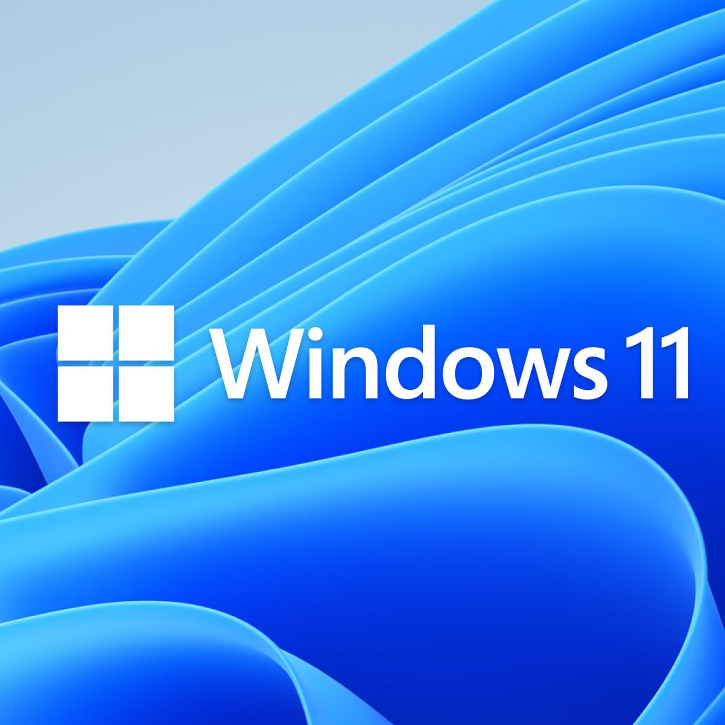 Windows 11 logo