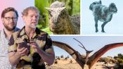 How Scientists & Filmmakers Brought Prehistoric Planet's Dinosaurs to Life