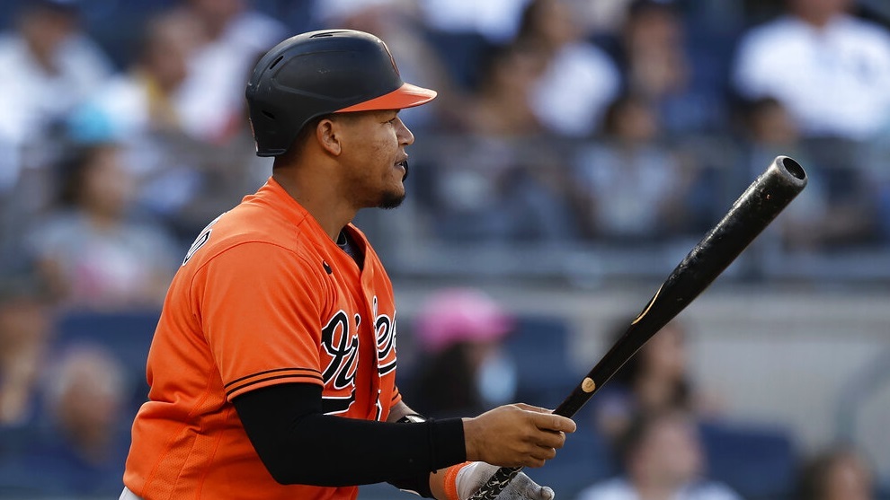 Baltimore Orioles Pedro Severino watches his run scoring sacrifice fly against the New York Yankees.