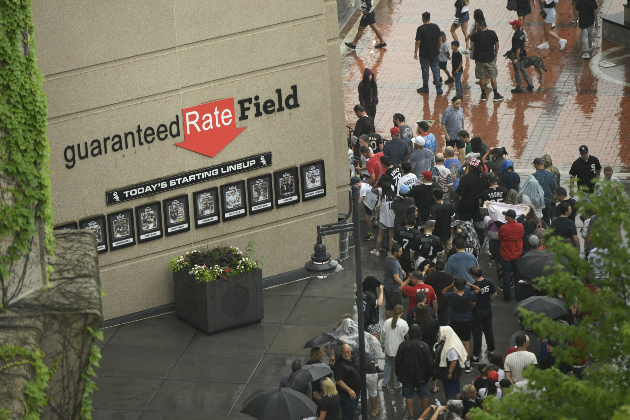 Chicago White Sox.