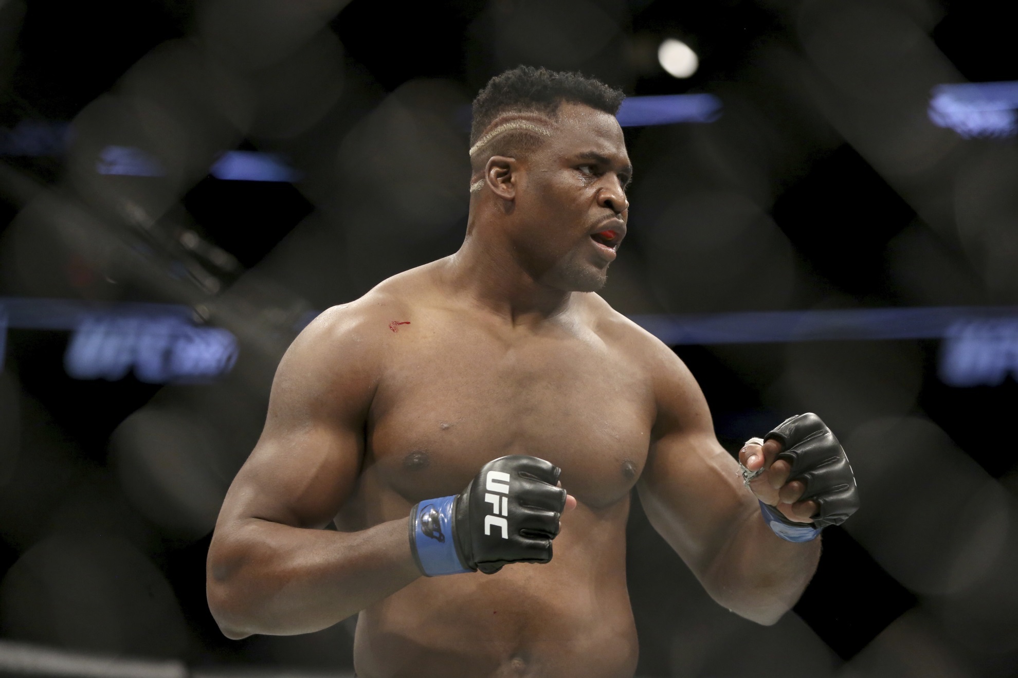 PFL Ngannou Mixed Martial Arts MMA UFC heavyweight championship