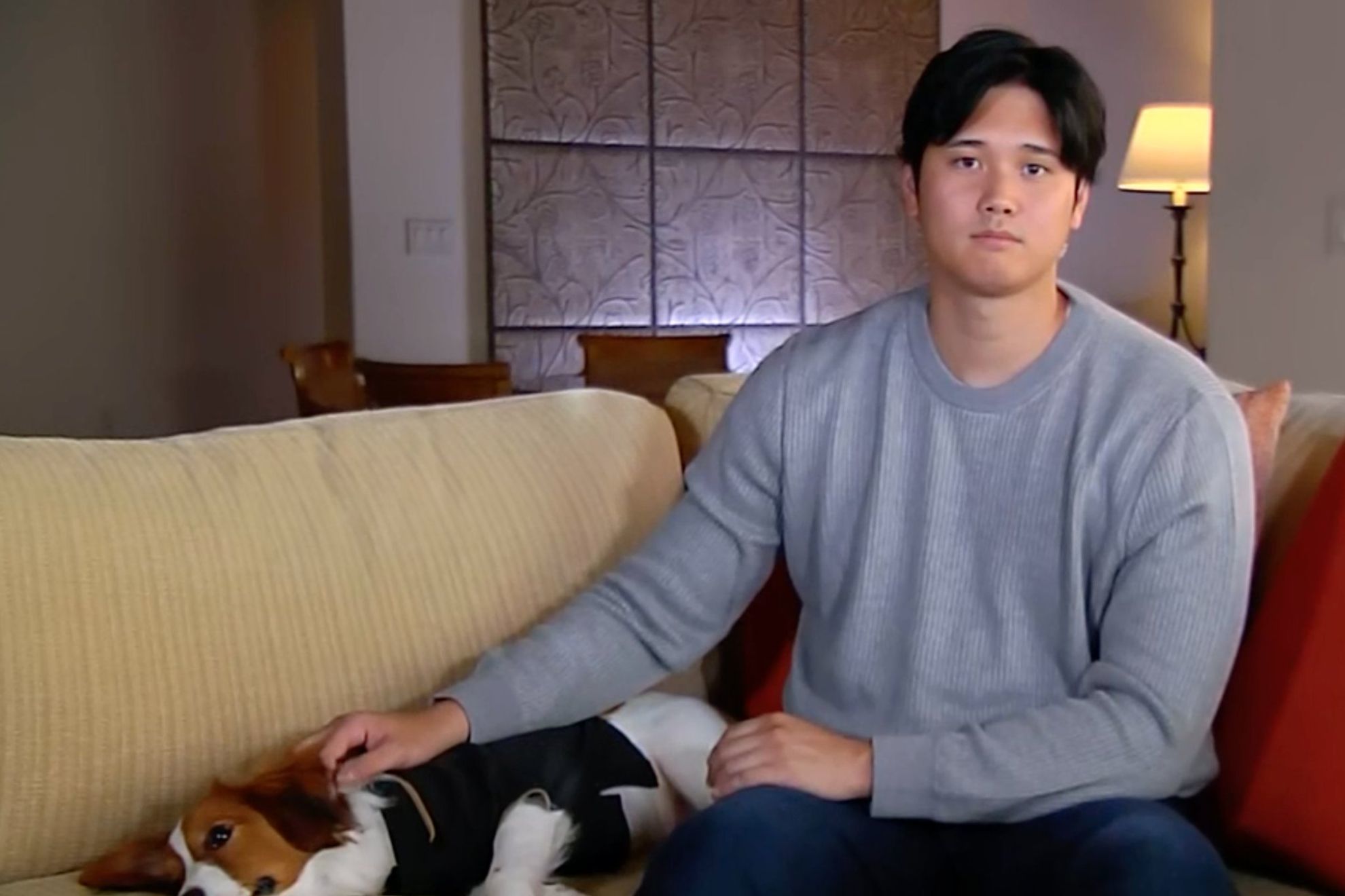 Shohei Ohtanis puppy is the real MVP, steals spotlight with a cute high-five