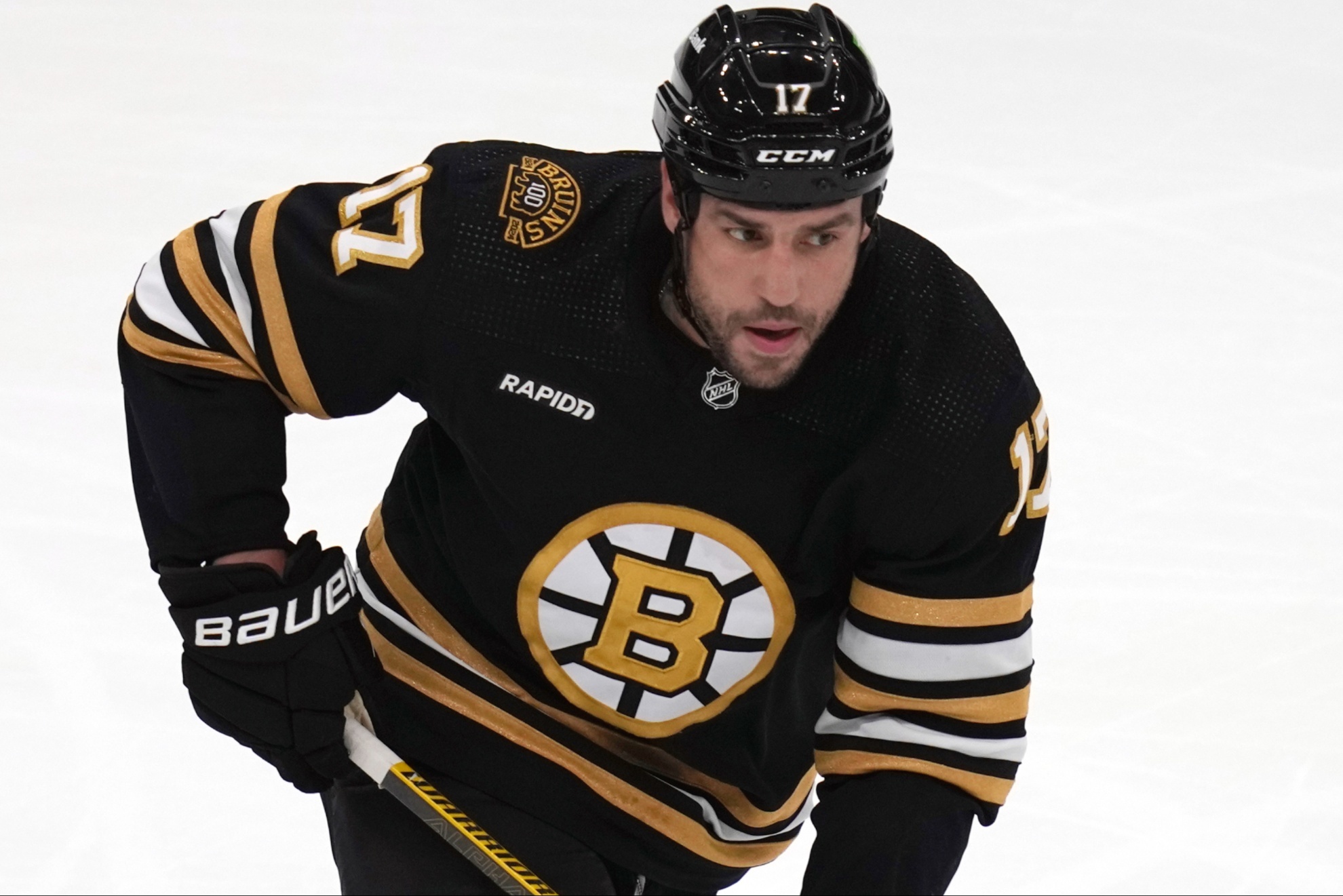 Boston Bruins left wing Milan Lucic.