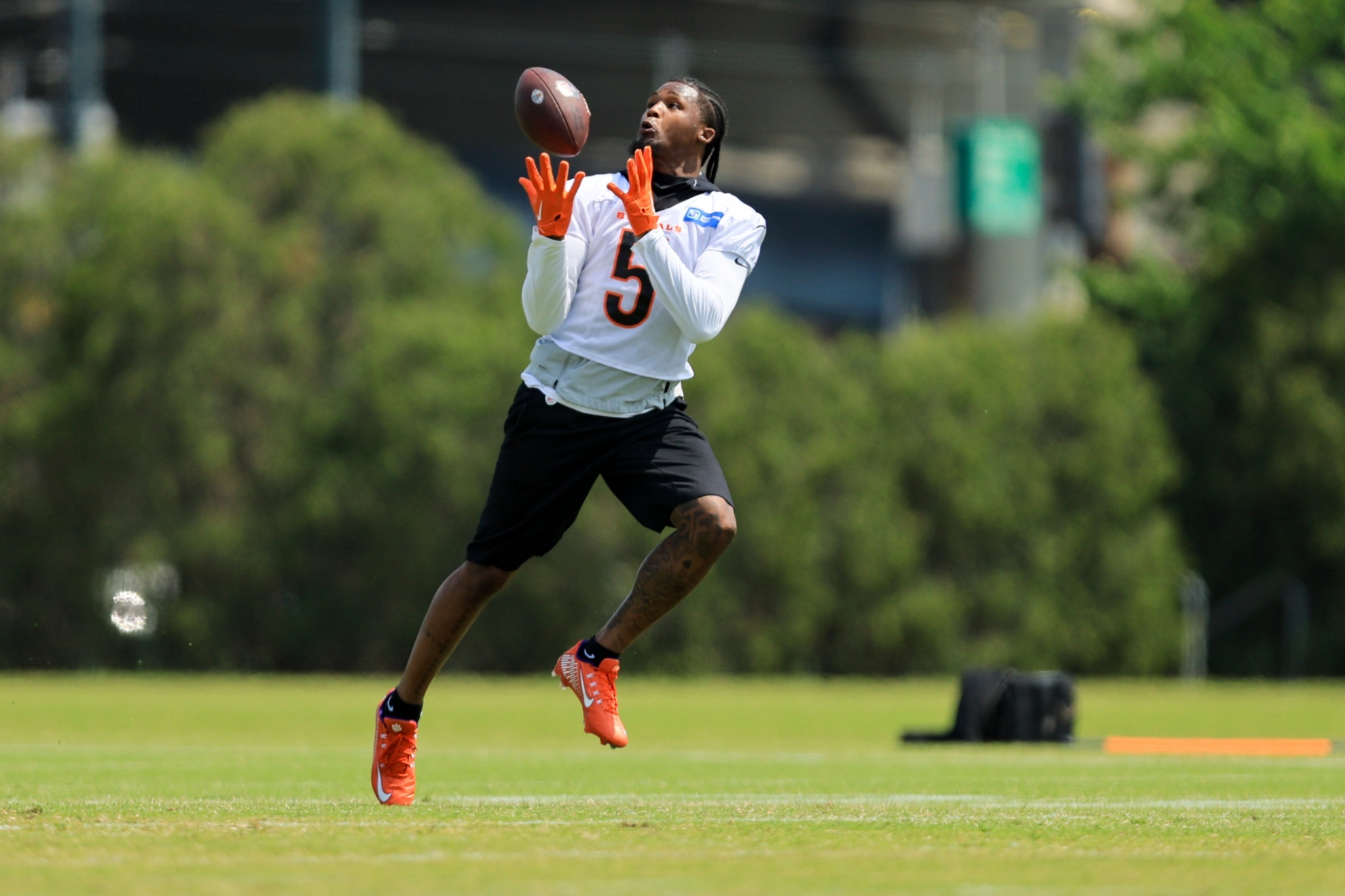 Cincinnati Bengals Tee Higgins makes a catch during a practice at the NFL football teams training field in Cincinnati, Tuesday, May 23, 2023. (AP Photo/Aaron Doster)