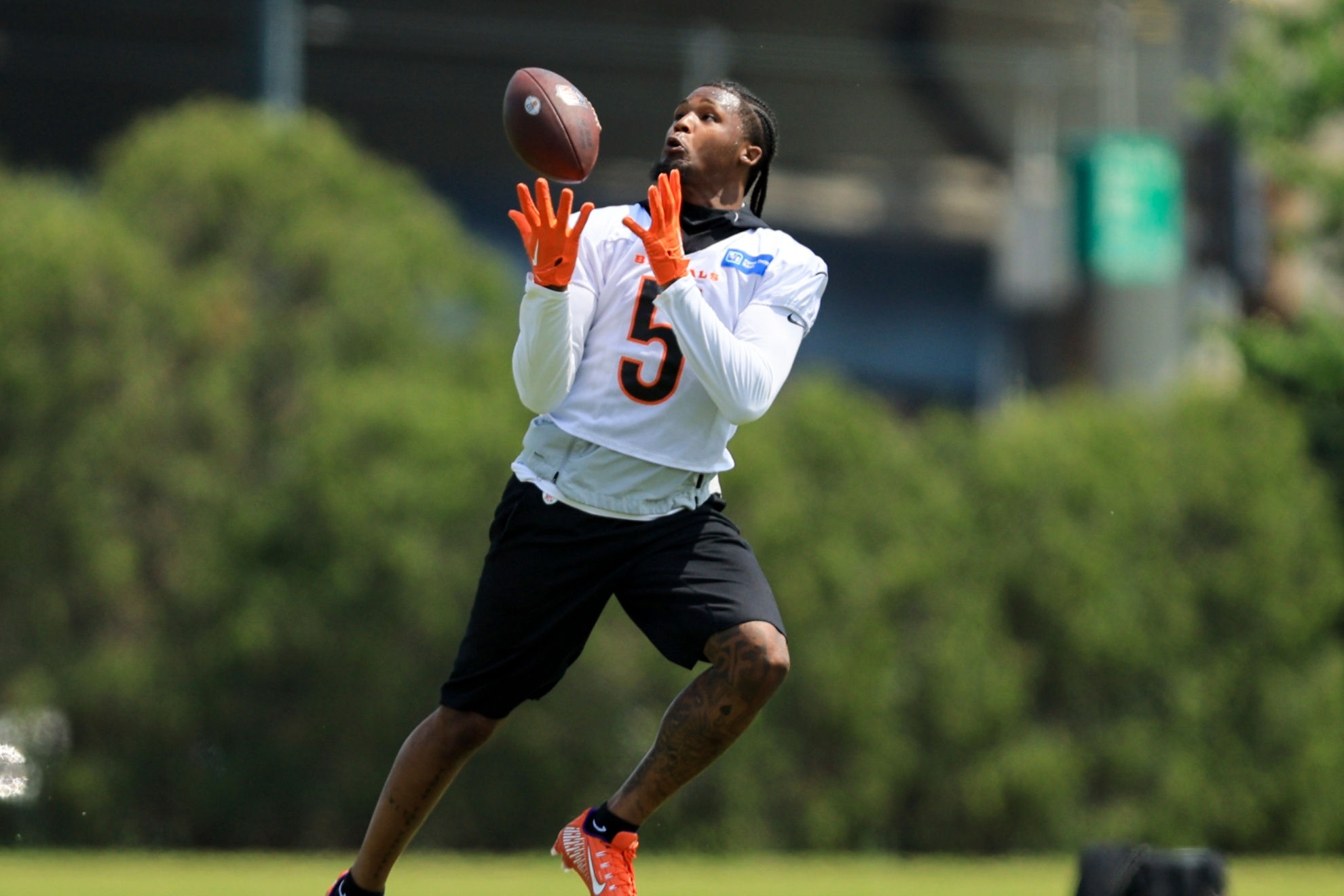 Cincinnati Bengals Tee Higgins makes a catch during a practice at the NFL football teams training field in Cincinnati, Tuesday, May 23, 2023. (AP Photo/Aaron Doster)