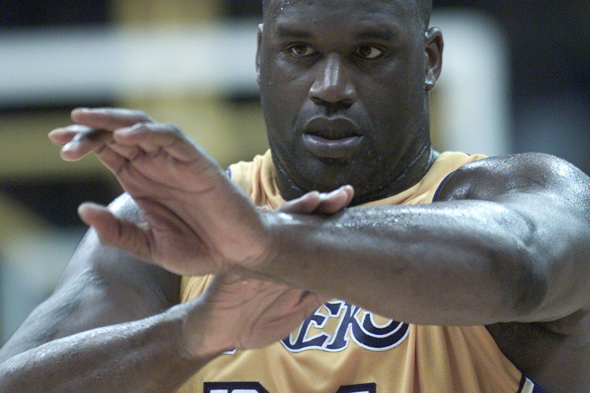 Shaquille ONeal