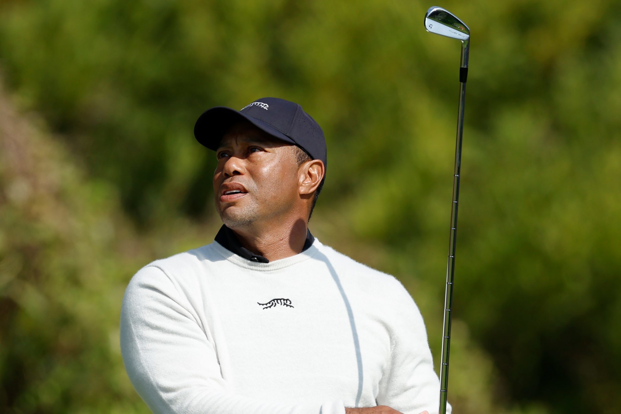 Why did Tiger Woods turn down the Ryder Cup captaincy?