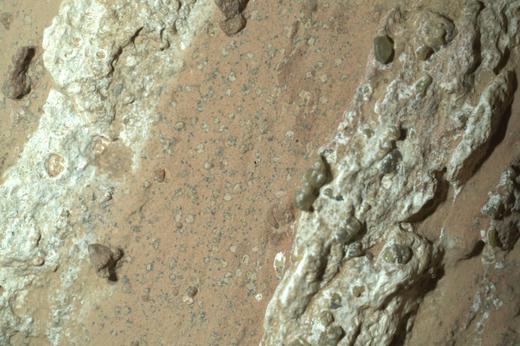 Pictures of what @NASAPersevere Mars rover has found in an interesting rock that could be one of the best signs yet that ancient microbial life may have once existed on the Red Planet.