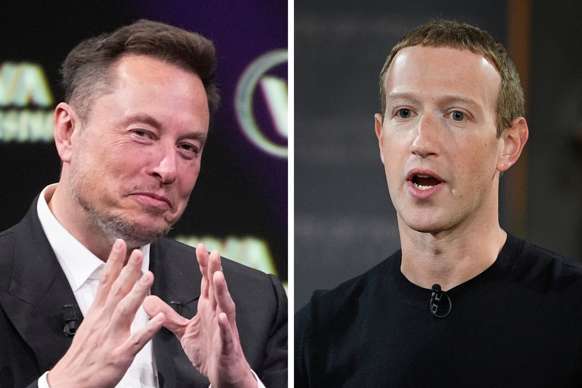 Musk and Zuck