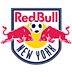 New York Red Bulls