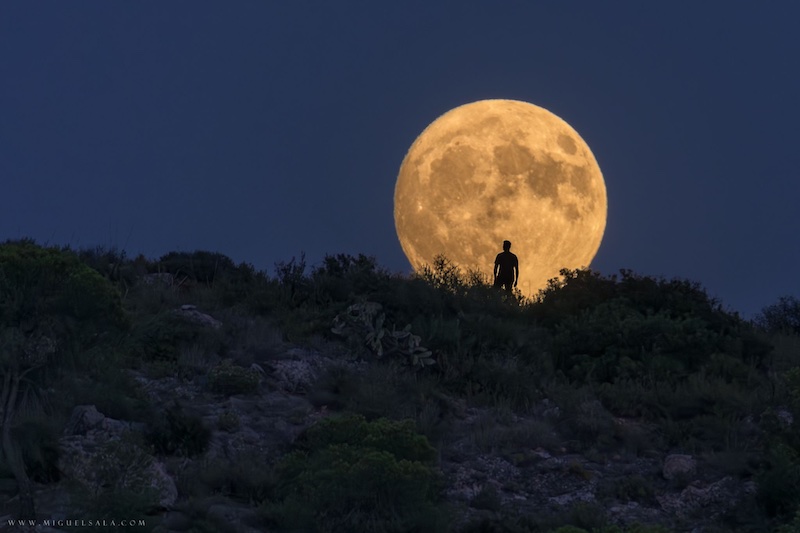 Bright full supermoon on a bush-covered hill on the horizon with a silhouette of a man in front of it.