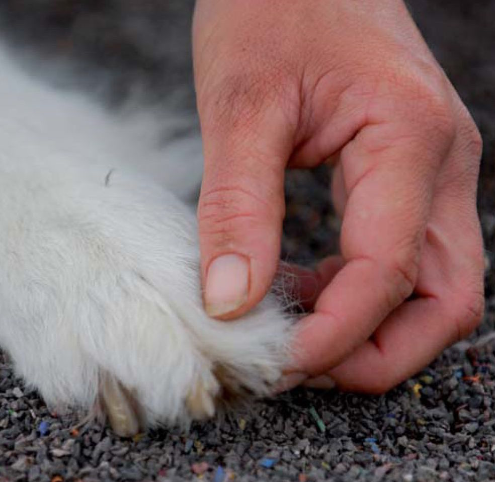 Trim nails without stress