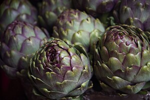 artichoke vegetable