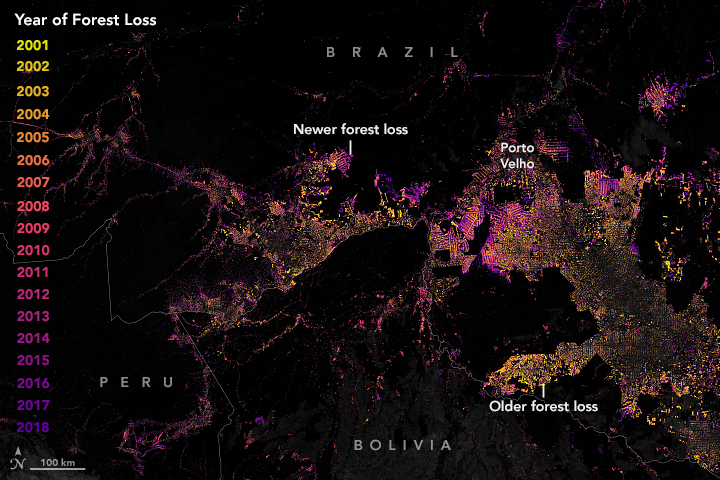 Tracking Amazon Deforestation from Above - related image preview