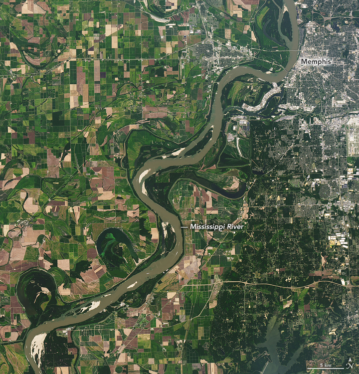 The Mississippi is Mighty Parched - related image preview