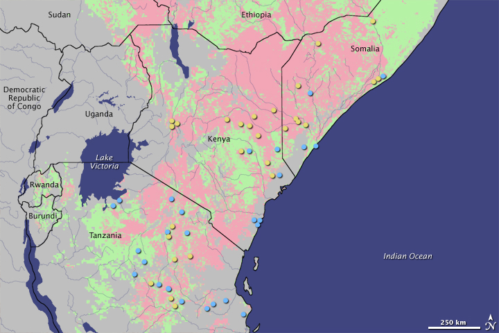 Predicting Rift Valley Fever - related image preview