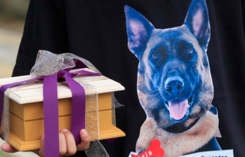 Cementerio público de mascotas en España