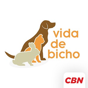 Vida de Bicho