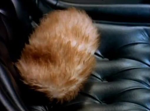 Chekhov-Tribble