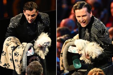 Host David Tennant on stage with dog named Bark Ruffalo during the EE BAFTA Film Awards