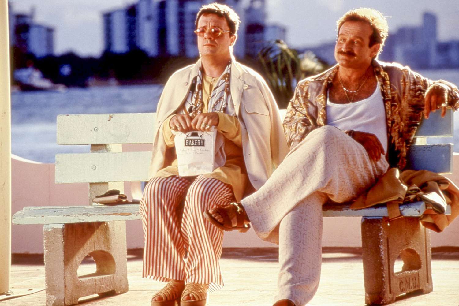 THE BIRDCAGE, Nathan Lane, Robin Williams, 1996, © United Artists / Courtesy Everett Collection