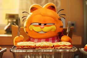 The Garfield Movie