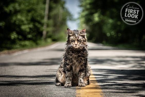 PET SEMATARY