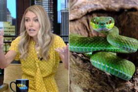 Kelly Ripa on Live with Kelly and Mark; Close-up of viper