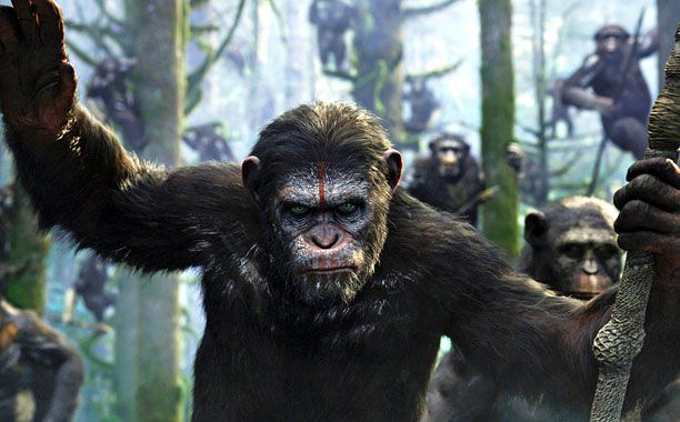 No animals were harmed in the making of this movie, except maybe the humans. The chimps, orangutans, and gorillas in the sequel to 2011's Rise