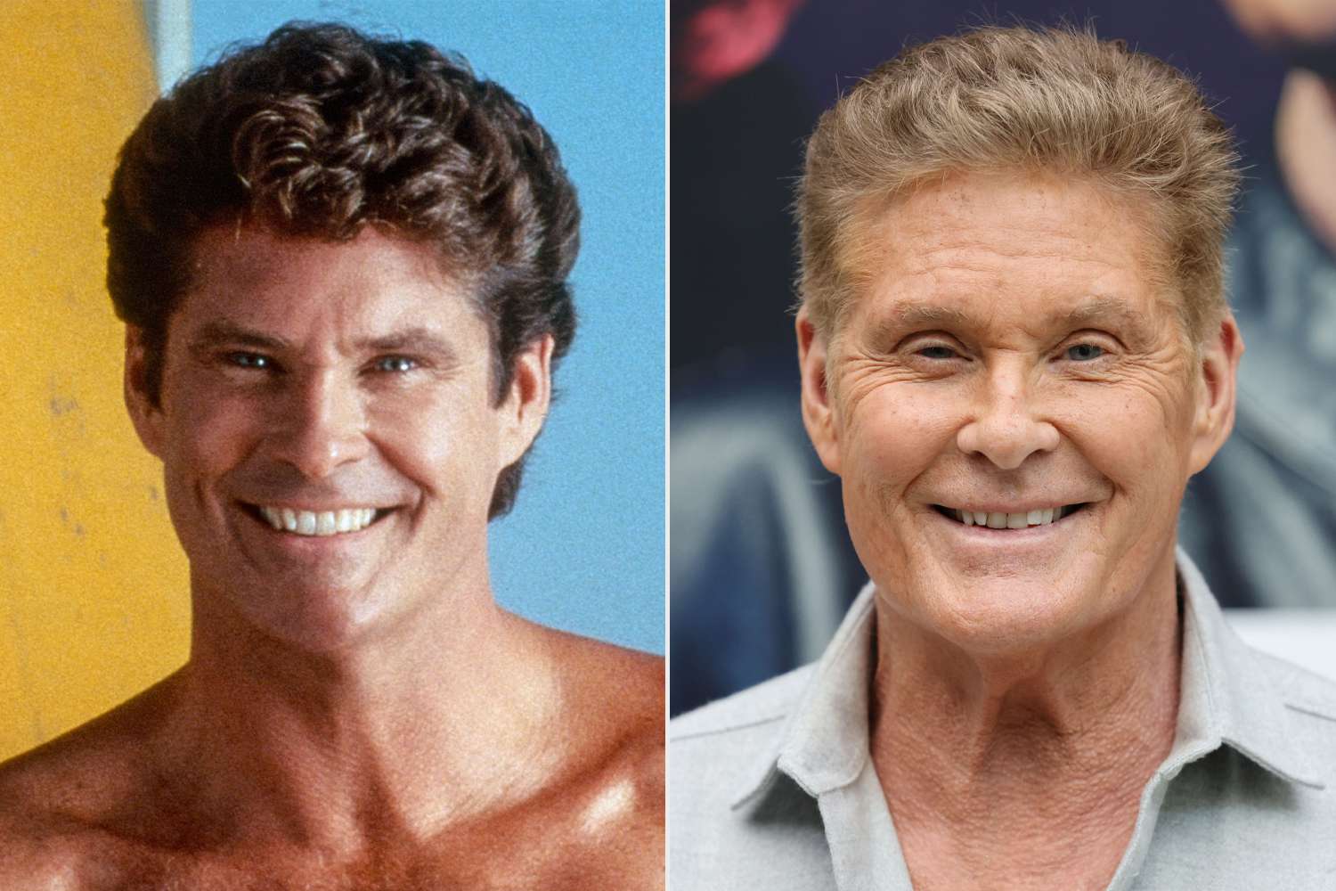 David Hasselhoff (Mitch Buchannon)